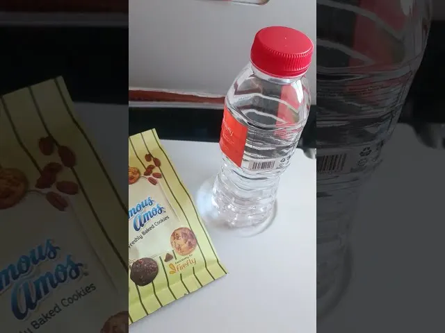 Water bottle and cookies on airplane tray table during flight