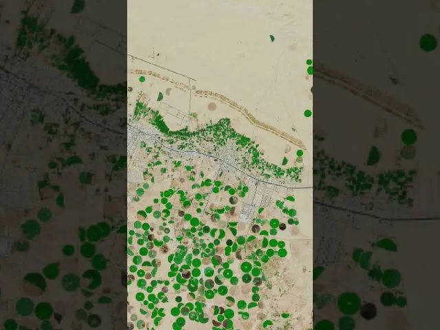 Agricultural regions like Al Jouf are remote so download the Jeeny app and arrange transport from nearest city